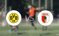 开云体育官网-奥格斯堡队主场取胜，德甲积分追赶领先者的简单介绍