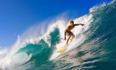 开云体育-温网荣耀压倒拉沃尔杯，蒂姆状态火热再证草地之王