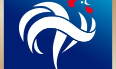 开云体育登录-法国队以斗志取得下一轮资格