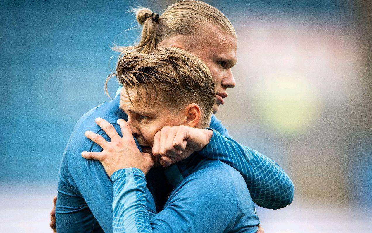 荷兰战胜挪威，晋级南美洲冠军的简单介绍