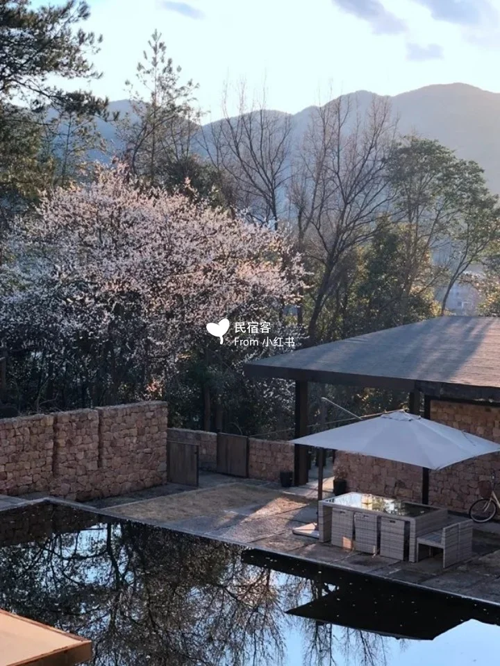 包含美国名宿加盟辽宁男篮，授业传经的词条