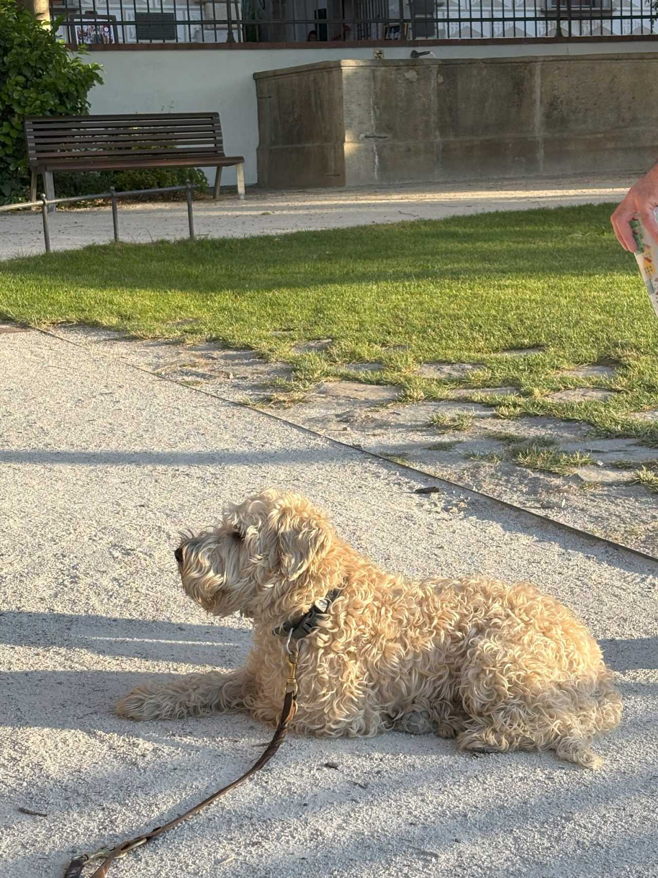 匈牙利队悲情出局，不敌克罗地亚无缘晋级