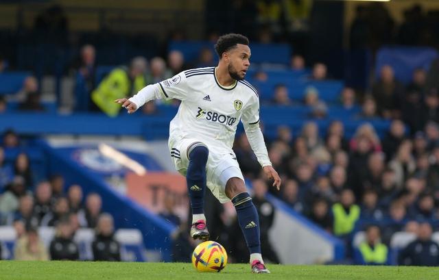 利兹联主场击败布莱顿,保级希望渐浓的简单介绍 利兹联主场击败布莱顿,保级希望渐浓的简单介绍