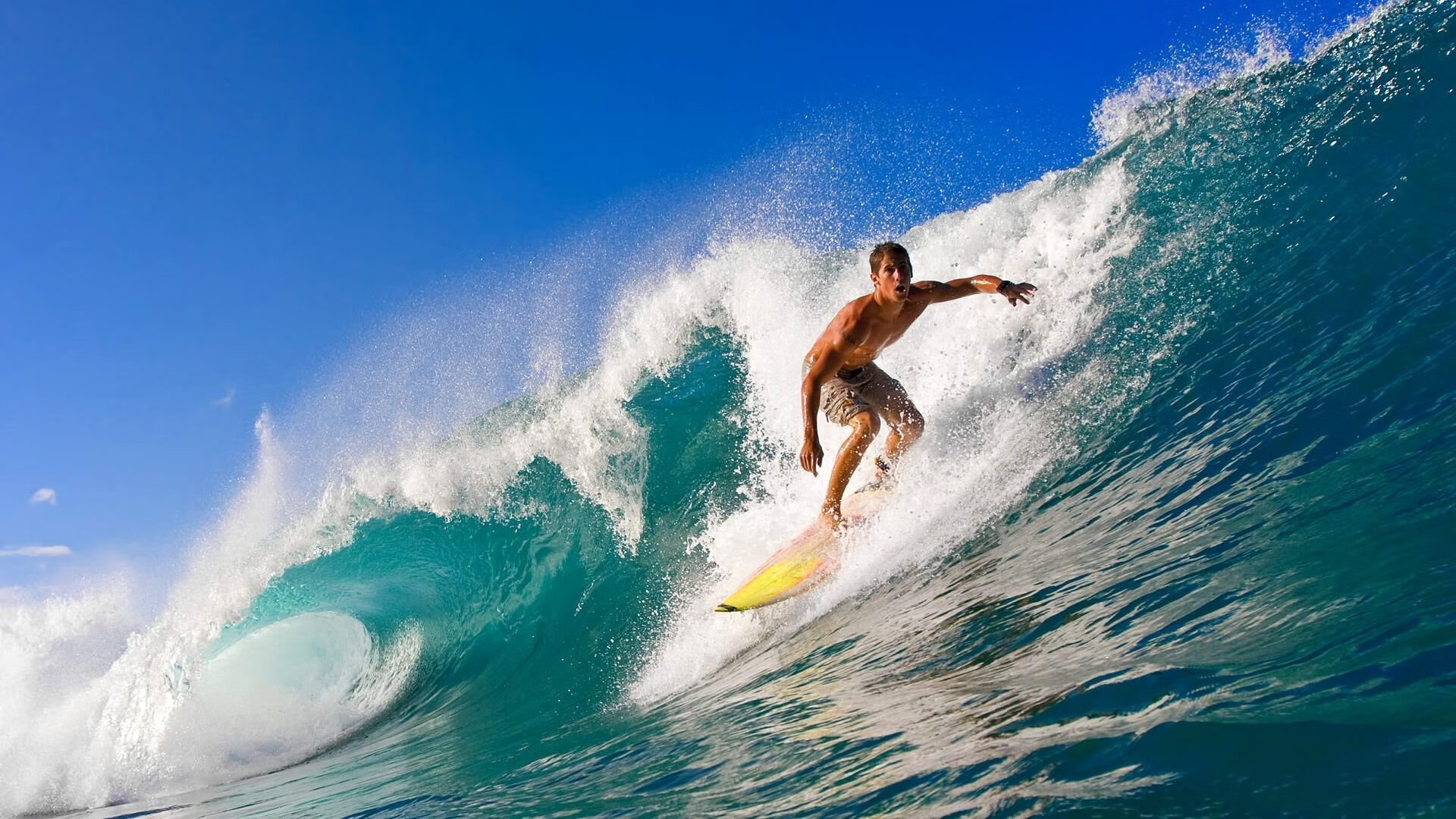温网荣耀压倒拉沃尔杯，蒂姆状态火热再证草地之王
